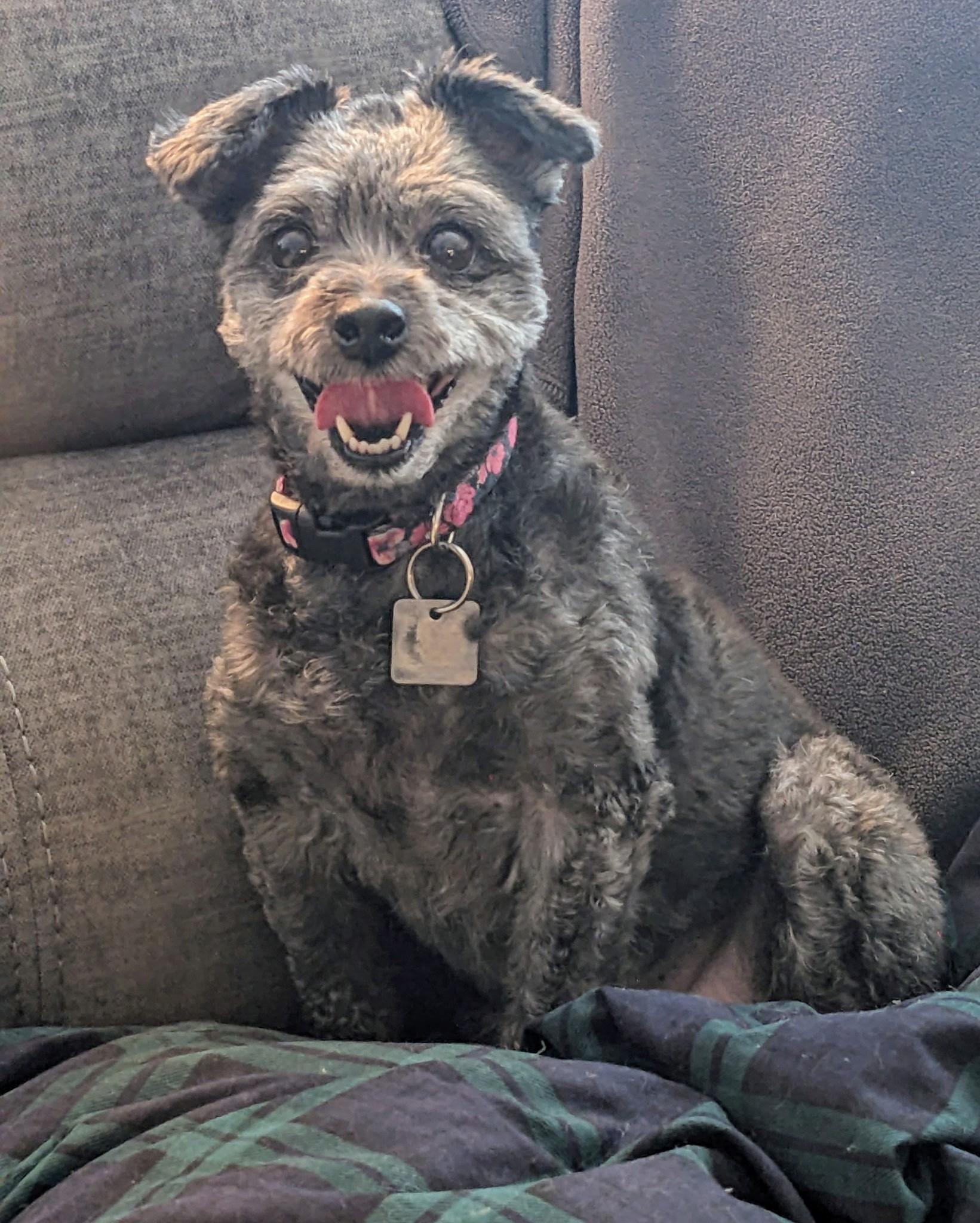 Rosie Lee
