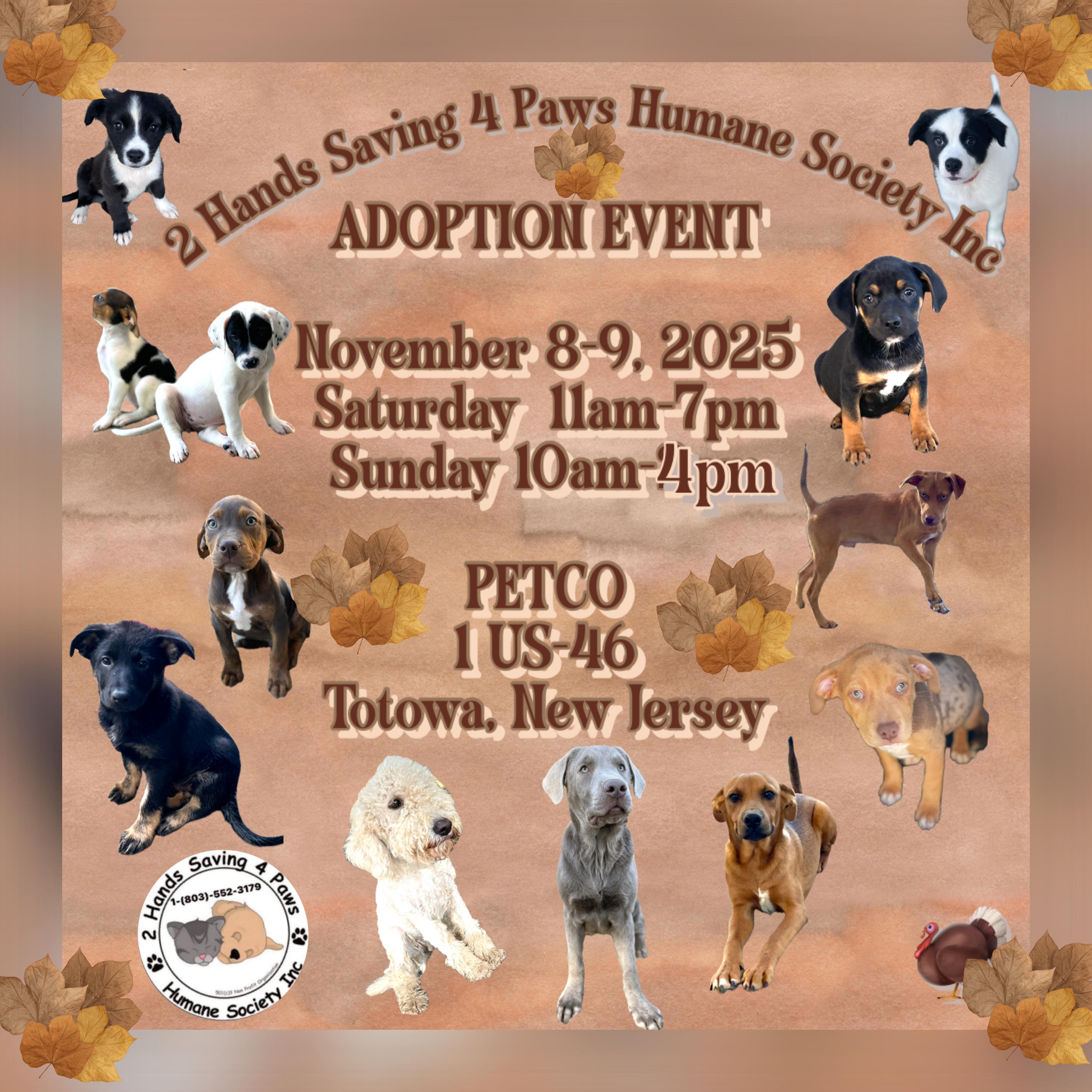 Venetian thumbnail 2