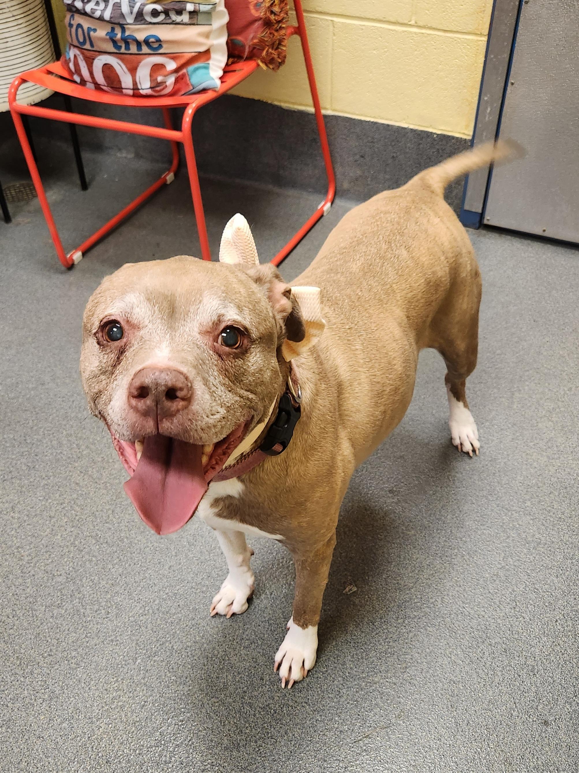 Lillie Bell thumbnail 3