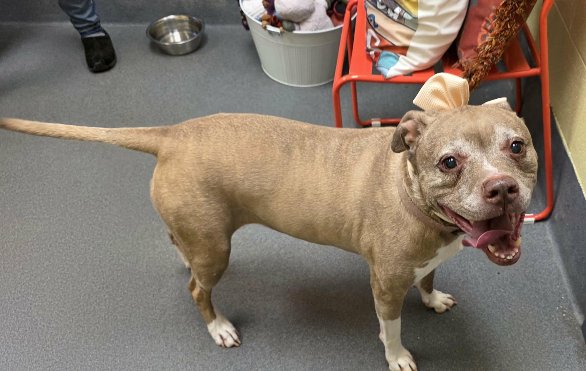 Lillie Bell thumbnail 5