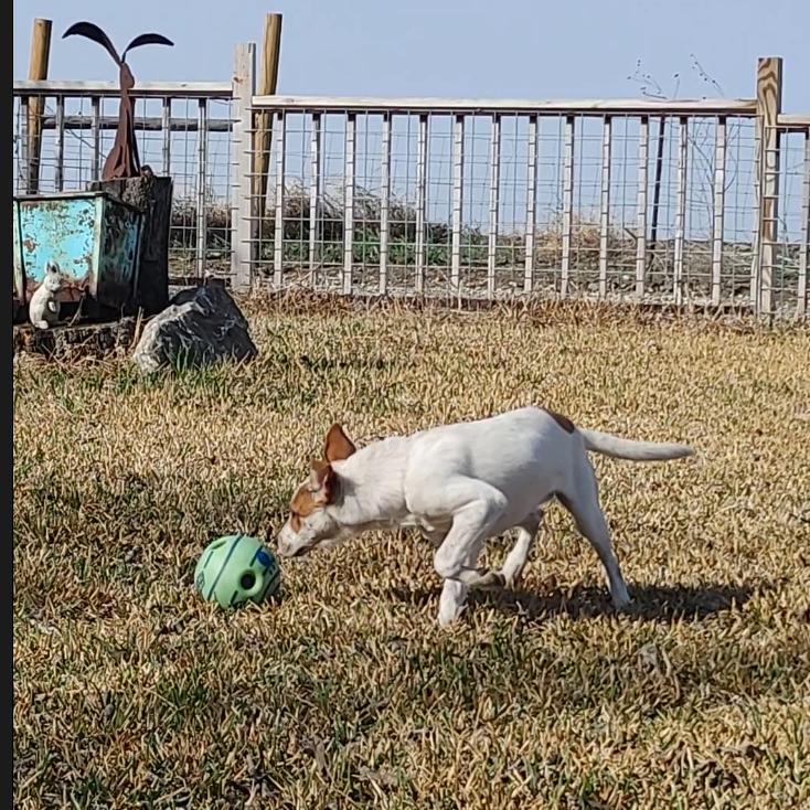 Paris — thumbnail 5