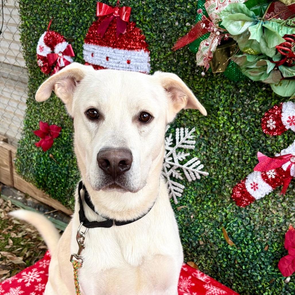 Autumn Equinox — thumbnail 2