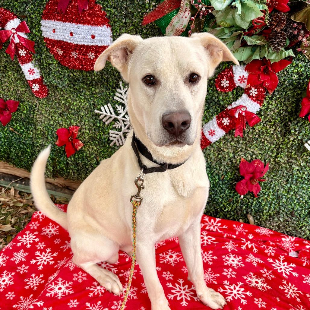 Autumn Equinox — thumbnail 3