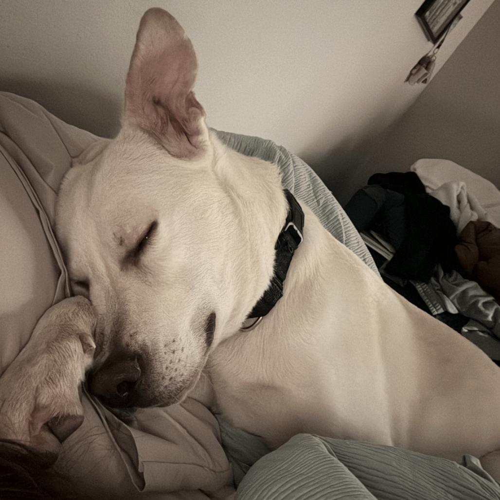 Autumn Equinox — thumbnail 5