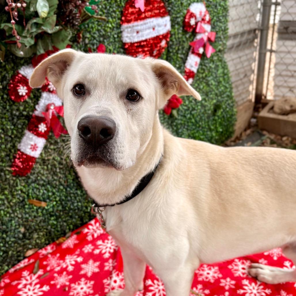 Autumn Equinox — thumbnail 6