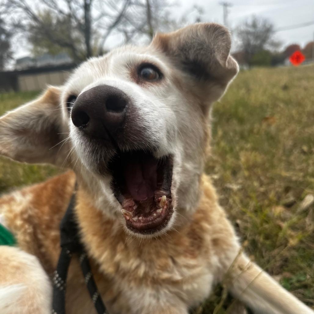 Katherine thumbnail 3