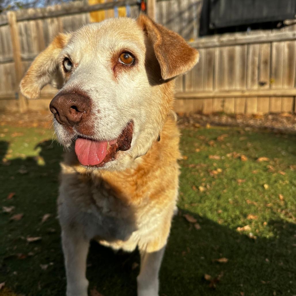 Katherine thumbnail 4