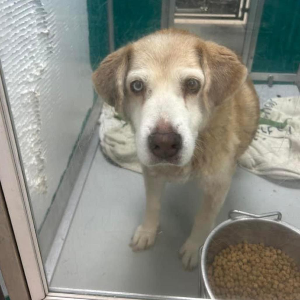 Katherine thumbnail 5