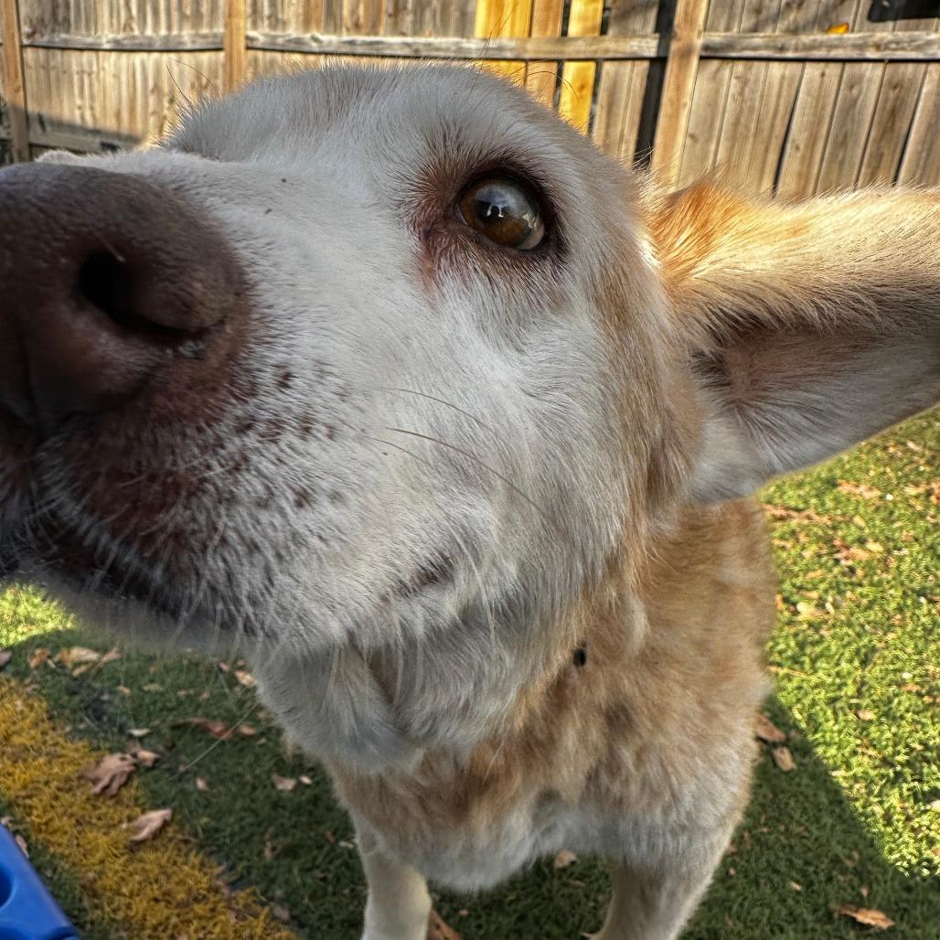 Katherine thumbnail 6