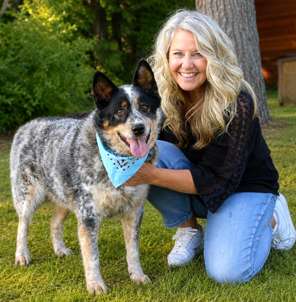 Blue, an adopted mixed breed in Cheboygan, MI image 5/6