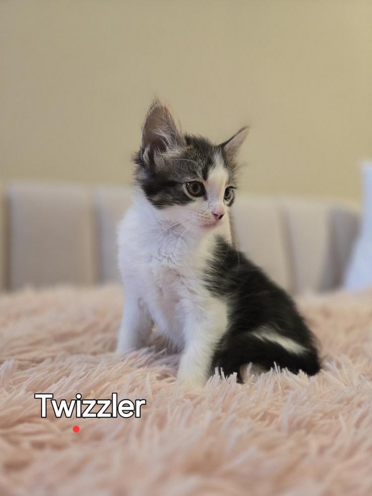 Twizzler