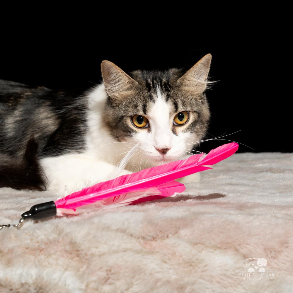 Twizzler thumbnail 4