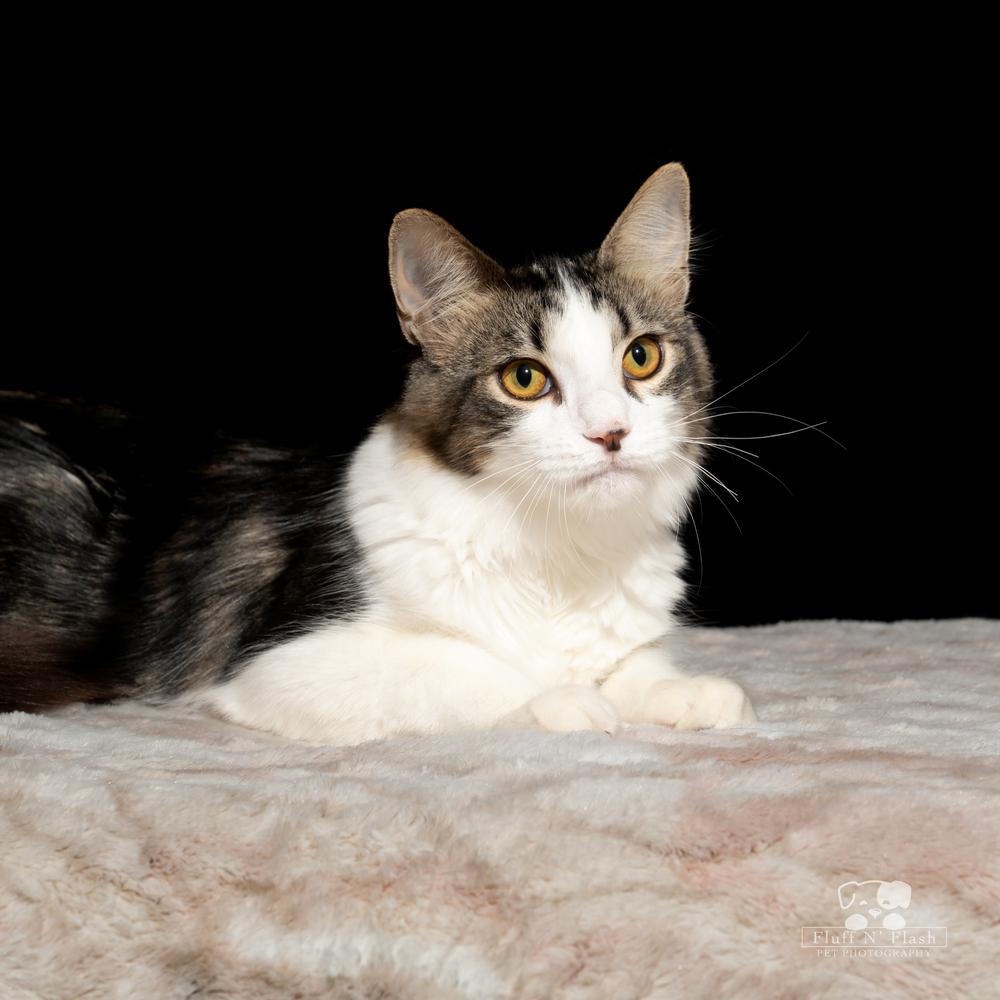 Twizzler thumbnail 5