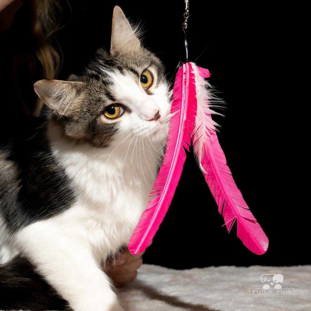 Twizzler thumbnail 6