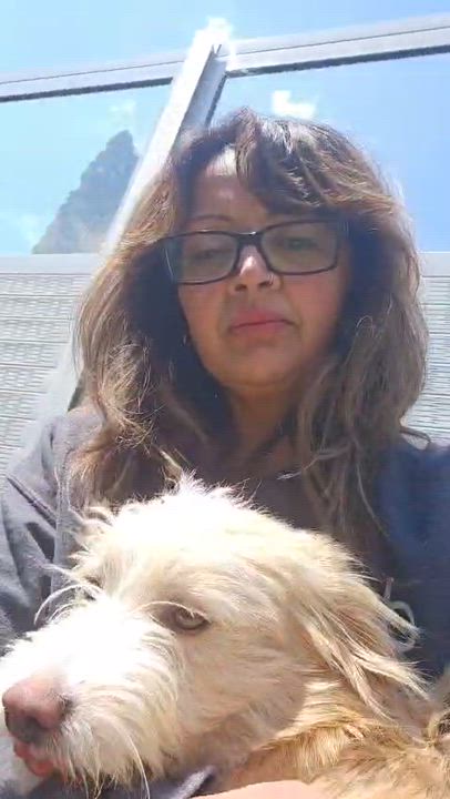 Enlarge Teddy, an adopted mixed breed in Aurora, ON video 3/6