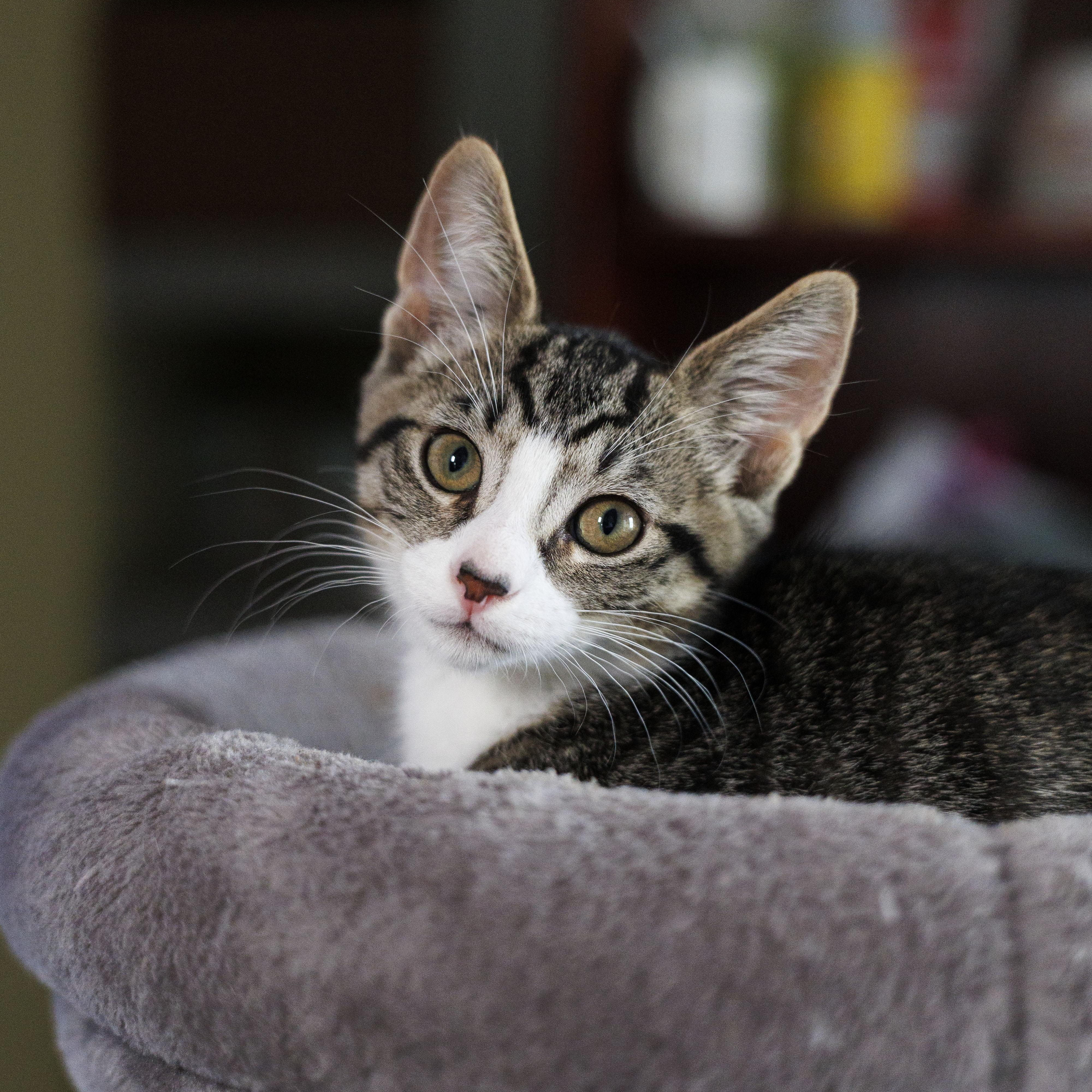 RUDY photo 3