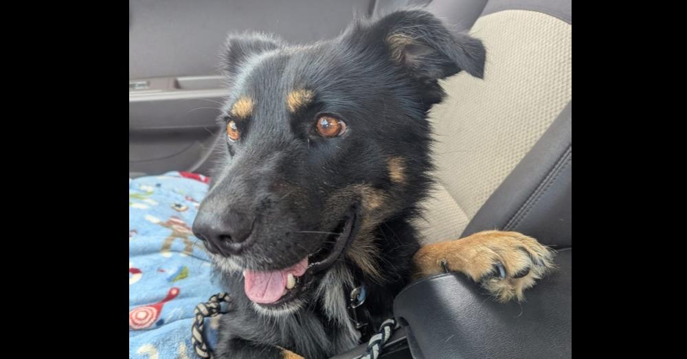 Jasper CP+~ — thumbnail 2