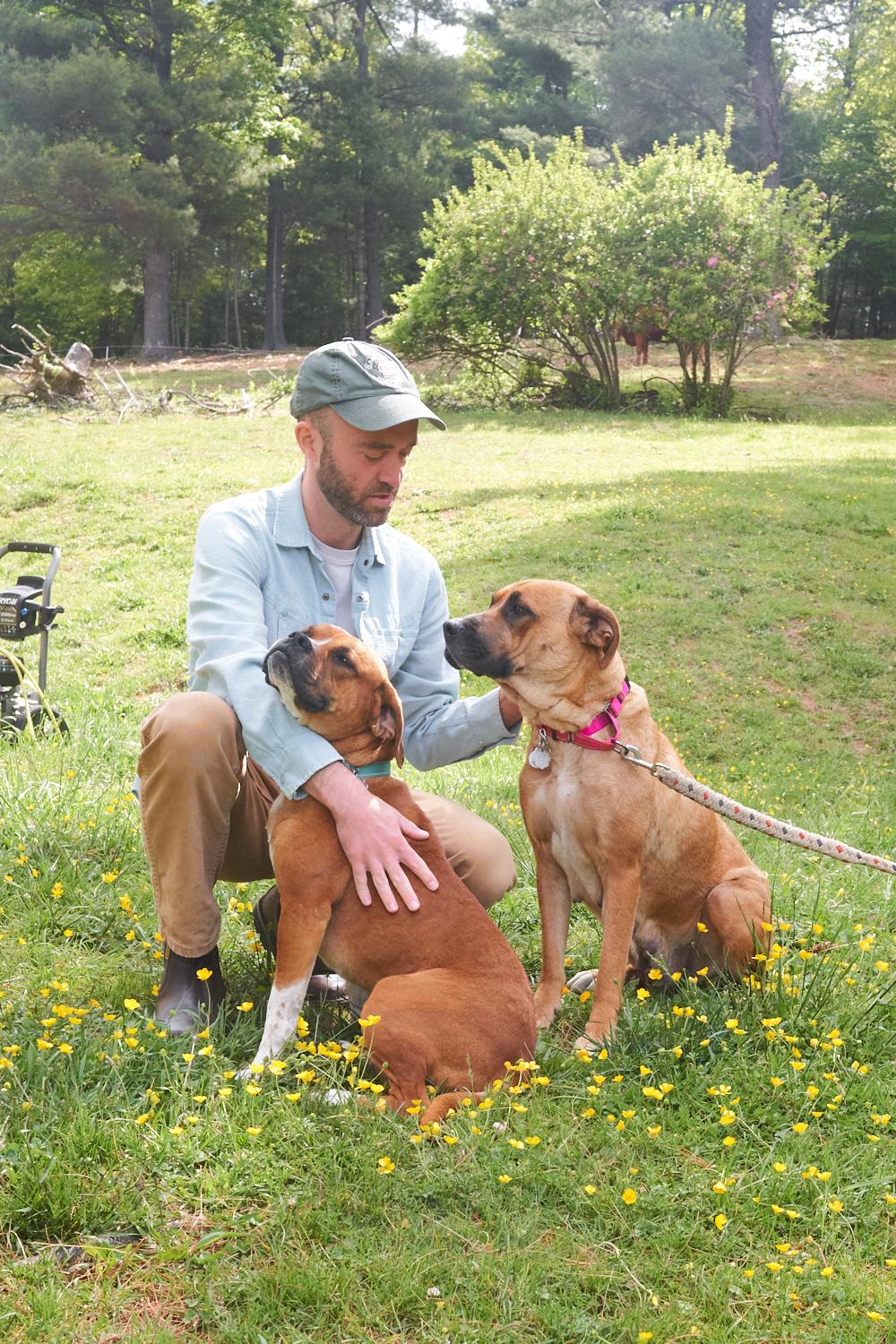 Nova & Loki, a ADOPTABLE mixed breed in Floyd, VA image 2/6