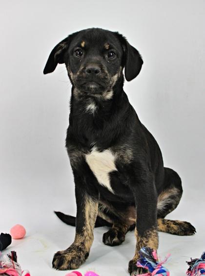 Madge — thumbnail 2