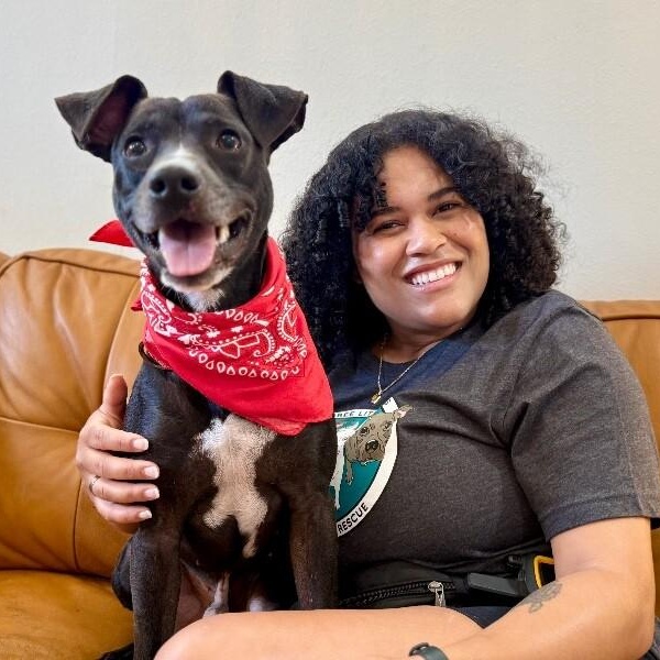 Gizmo Pint Sized Cuddle Buddy — thumbnail 3