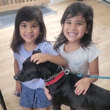 Gizmo Pint Sized Cuddle Buddy — thumbnail 4