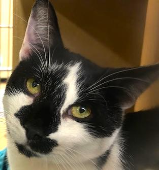 Vince the Prince (so Charming!)