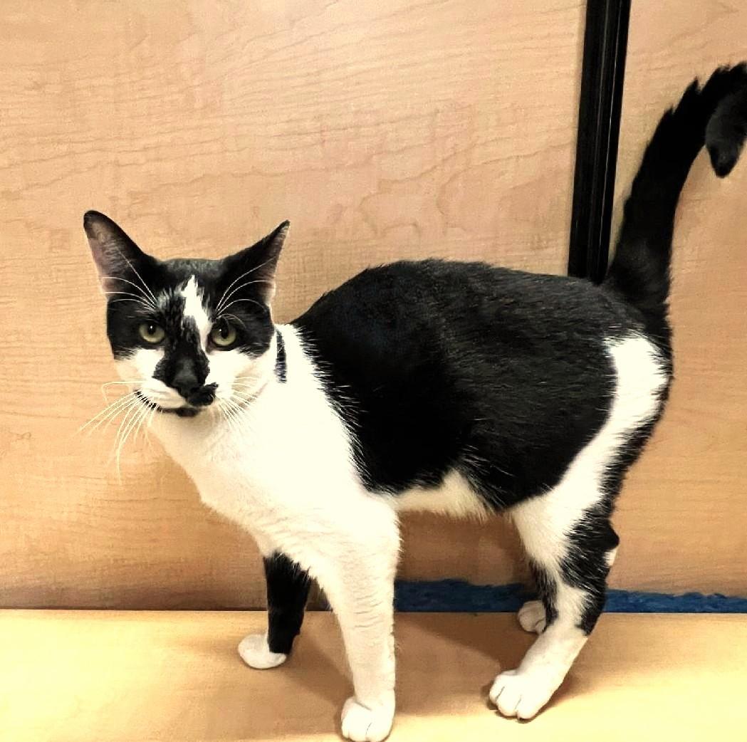 Vince the Prince (so Charming!)