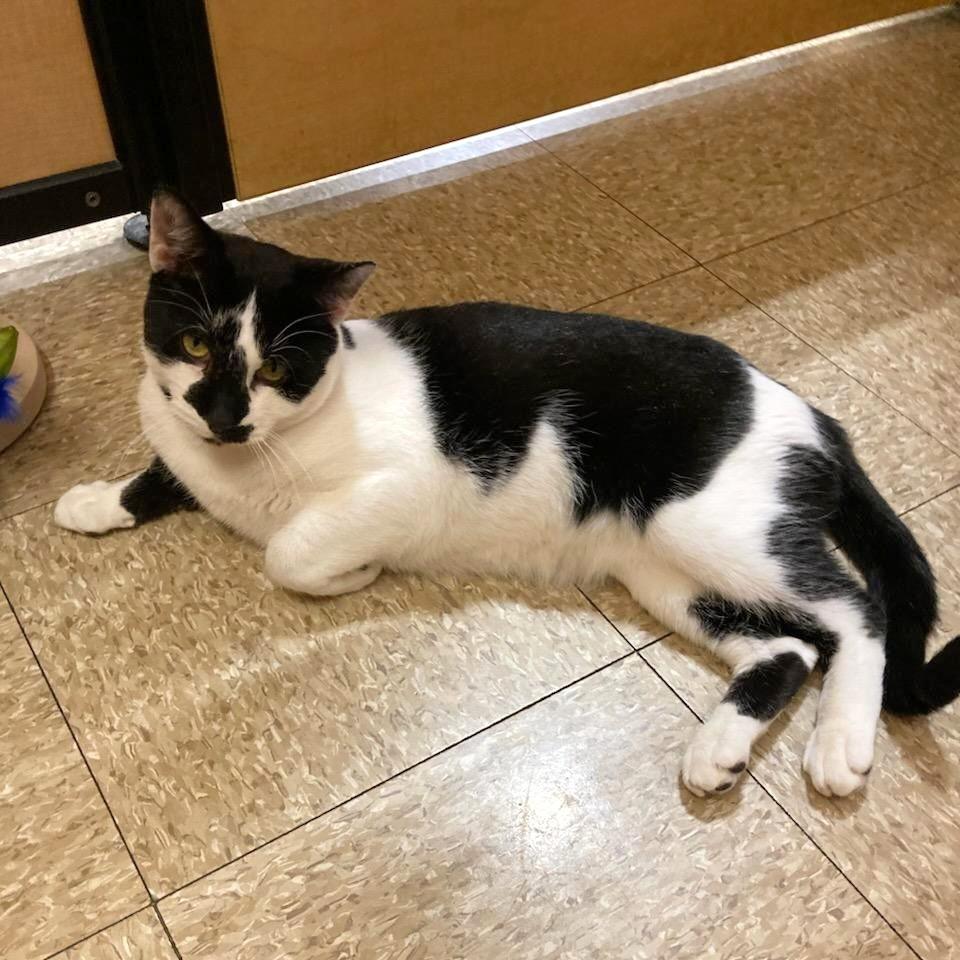 Vince the Prince (so Charming!)