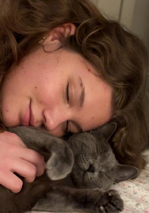 Enlarge Athena, an adopted mixed breed in Manhattan Beach, CA image 4/6