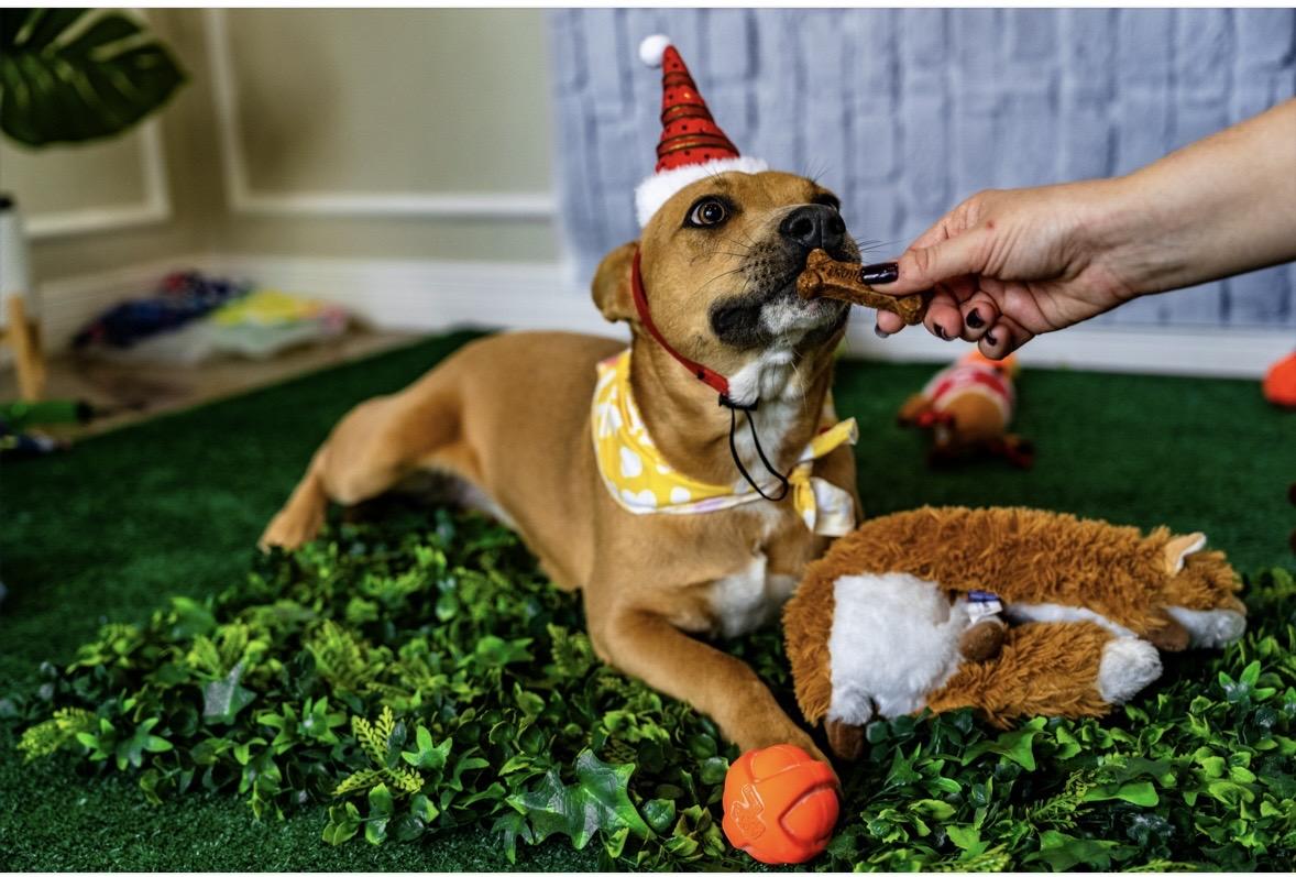 Sasha — thumbnail 5