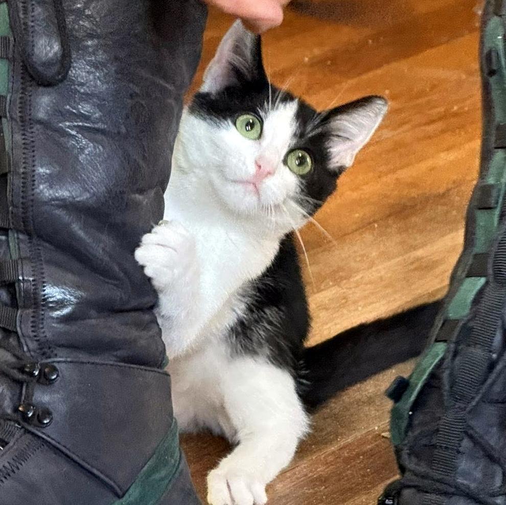 Mei Mei photo 1