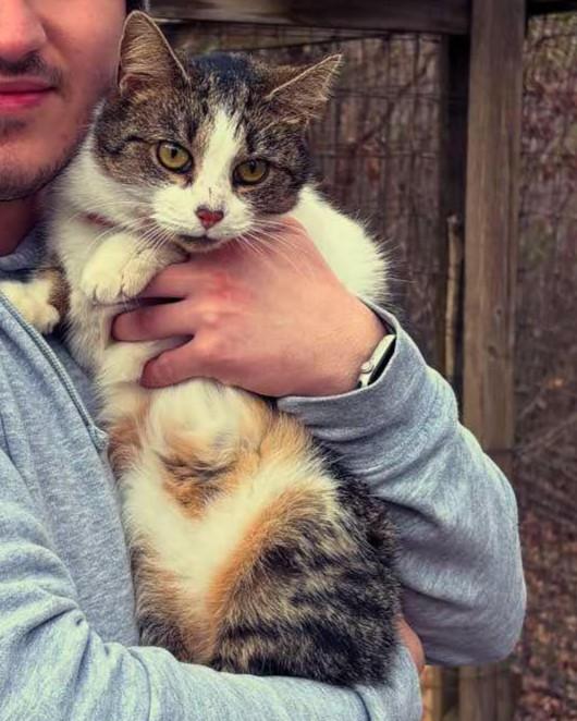 Pepper, a Adoptable mixed breed in Richmond, KY image 2/6