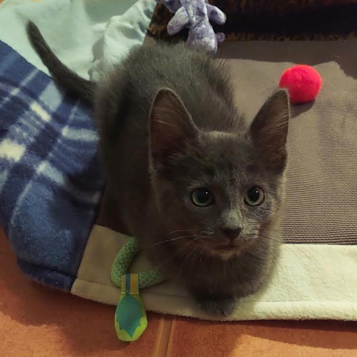 Squirt — thumbnail 2