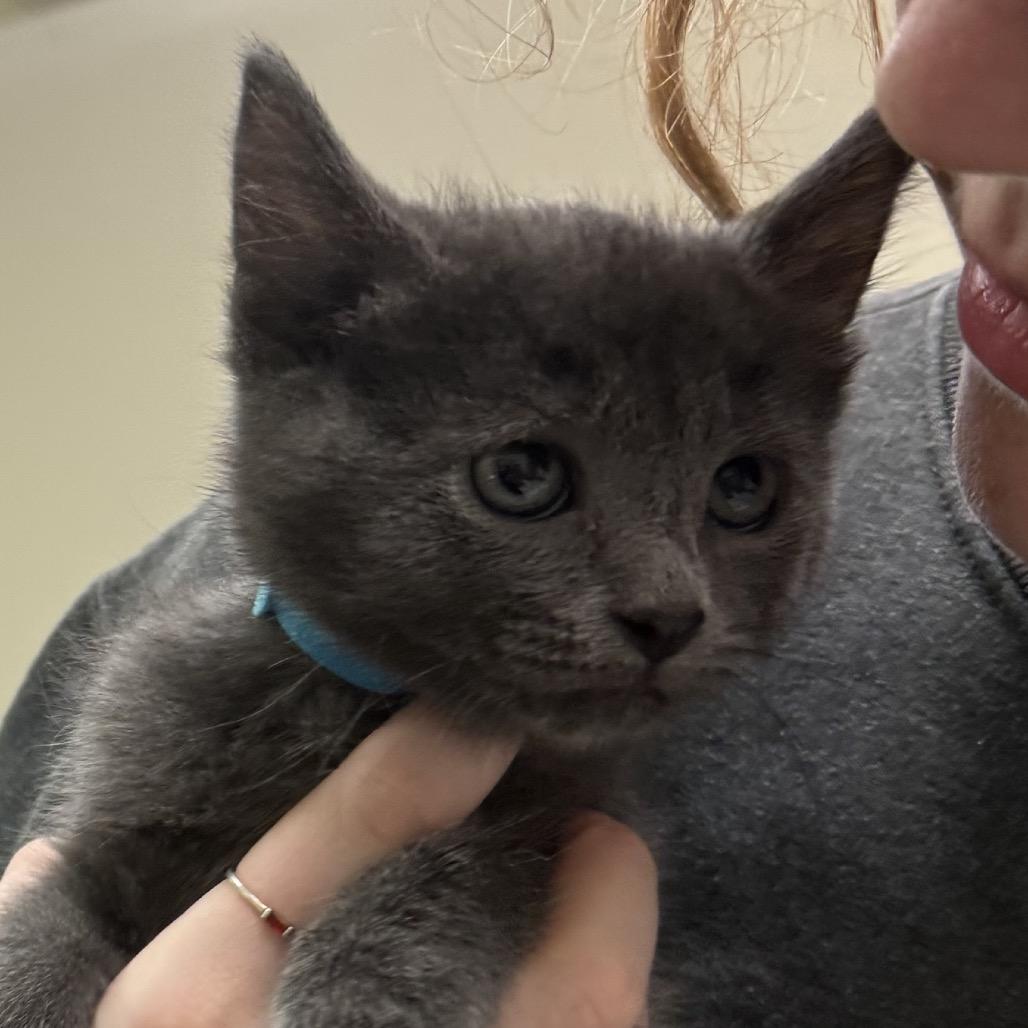 Squirt — thumbnail 3