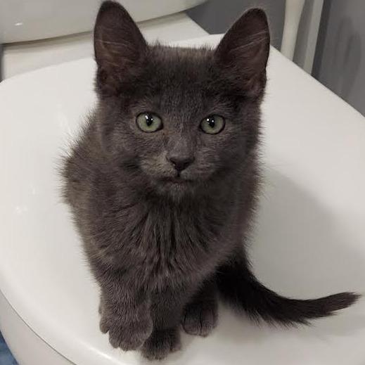 Squirt — thumbnail 4