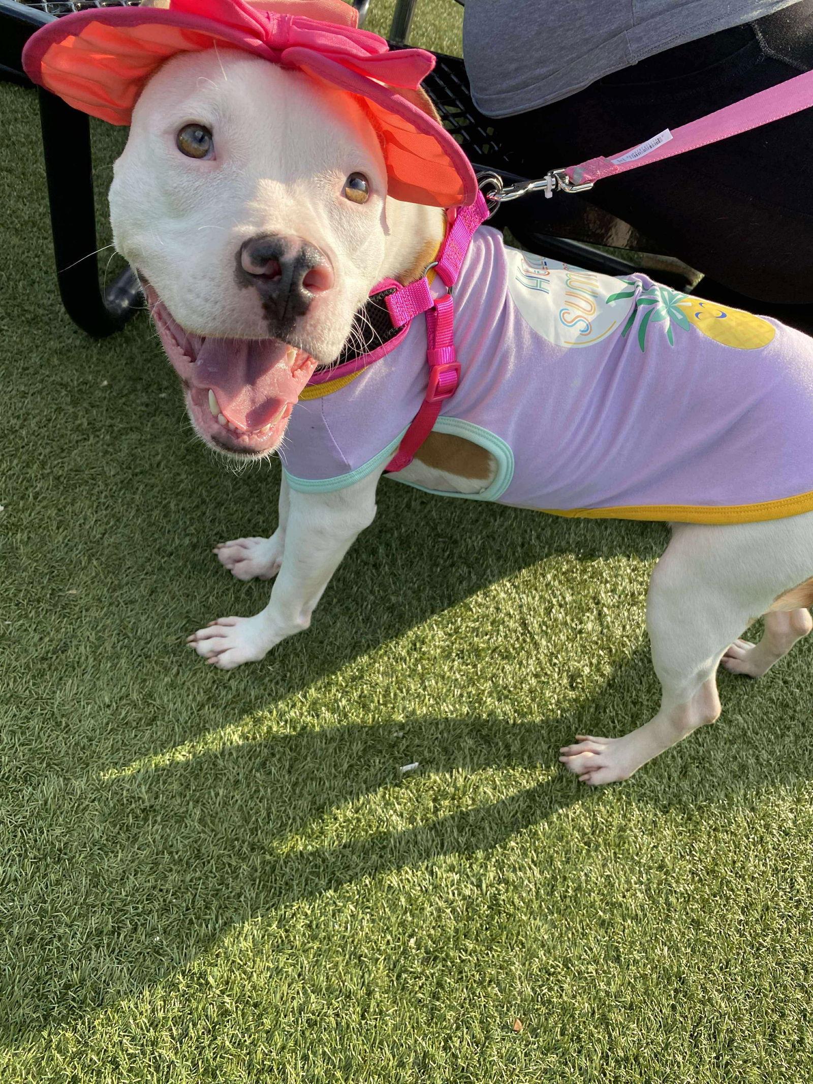 Bonnie Diamond thumbnail 2