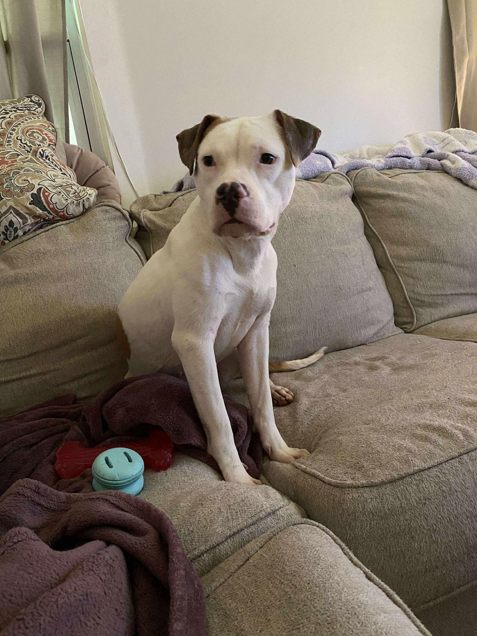 Bonnie Diamond thumbnail 3