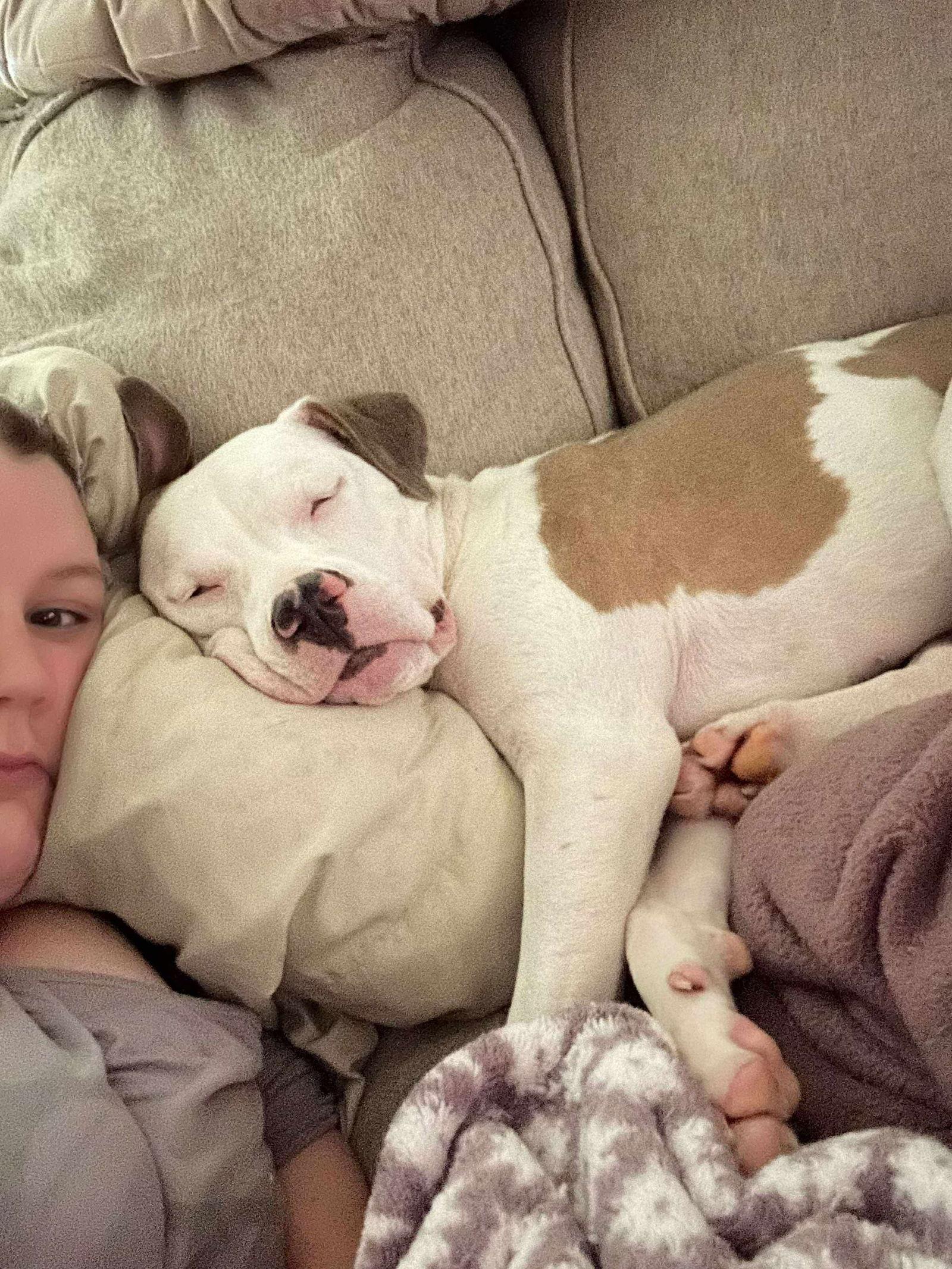 Bonnie Diamond thumbnail 4