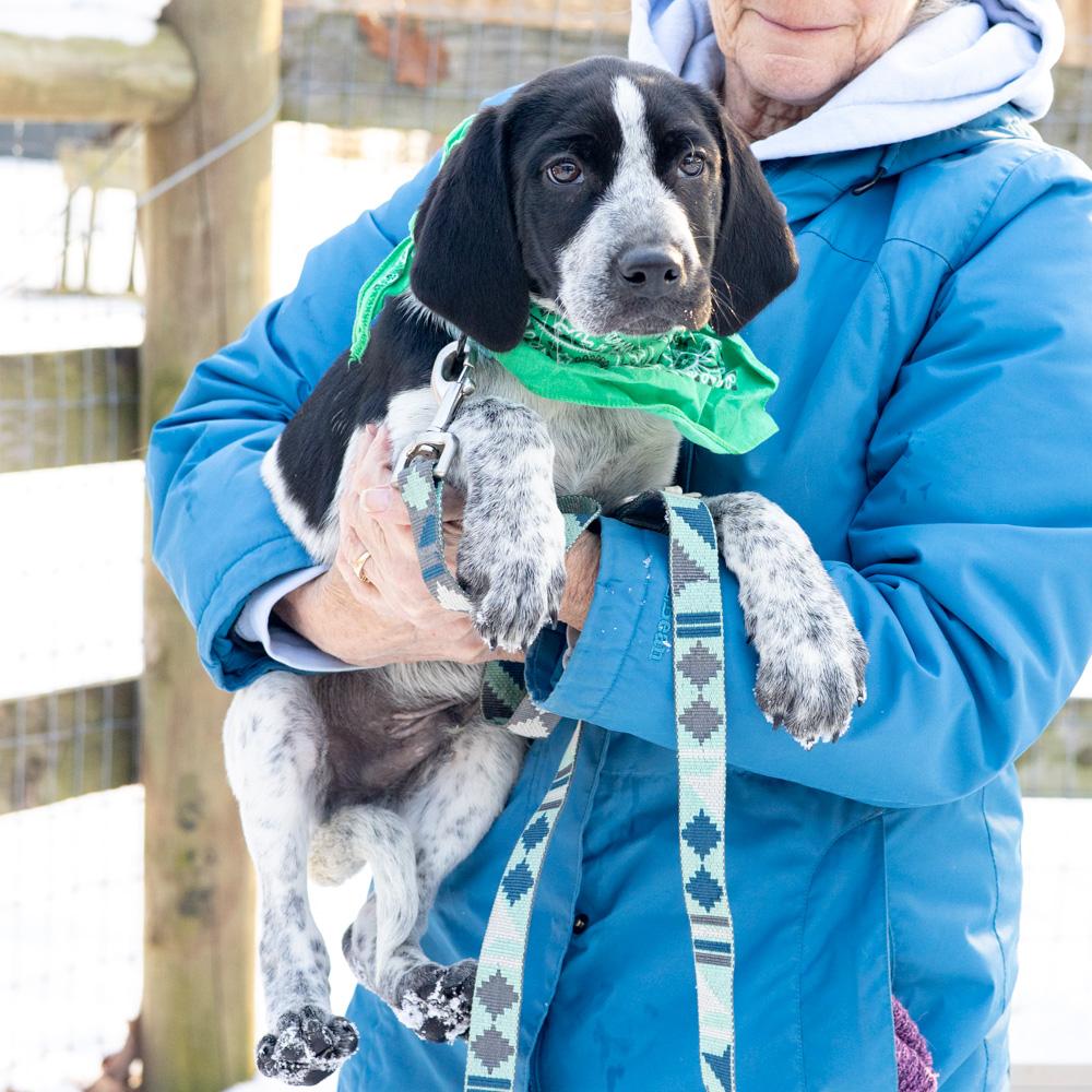 Kingavail thumbnail 2