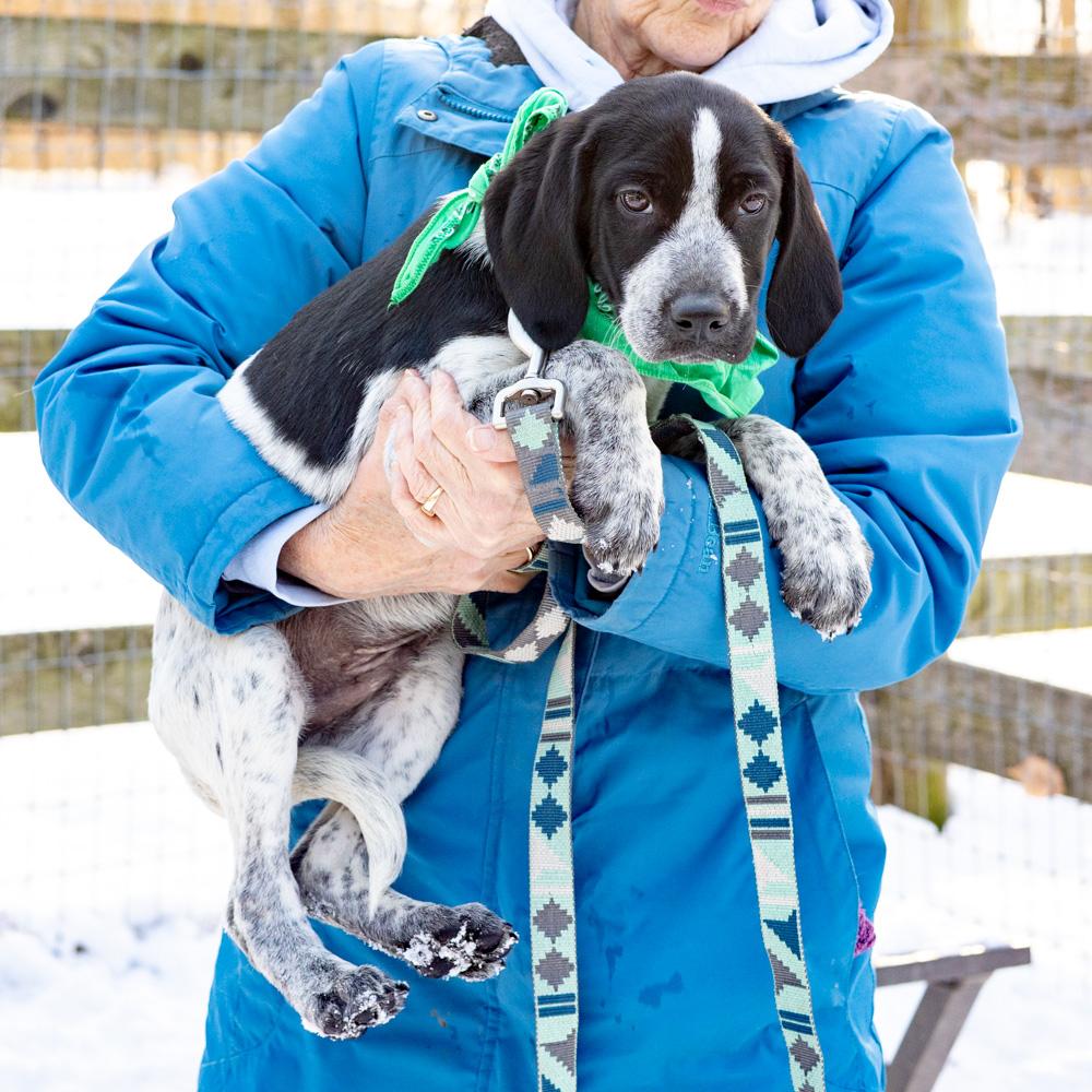 Kingavail thumbnail 6