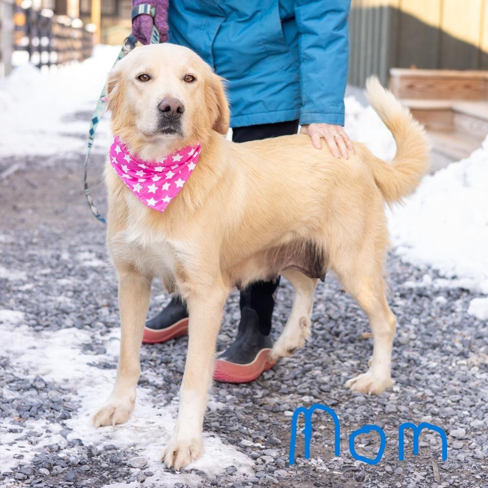 Kingavail thumbnail 7