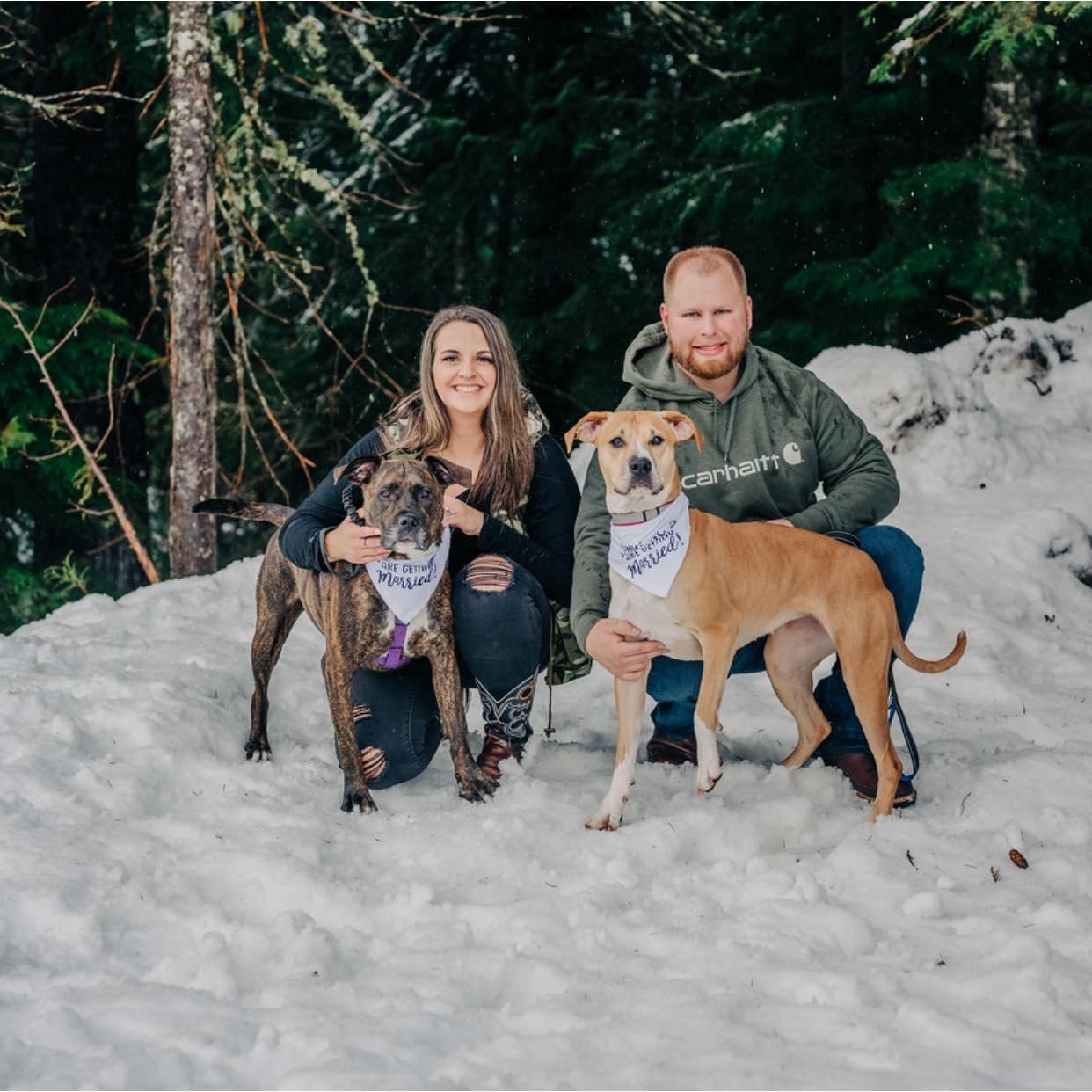 Bella (Courtesy Post), a Adoptable mixed breed in Portland, OR image 3/5