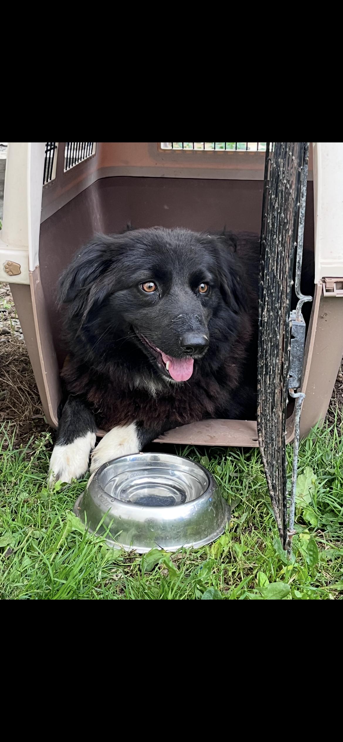 Beth and her babies (after Nov 28)