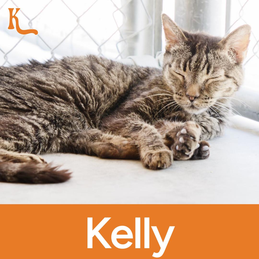 Kelly