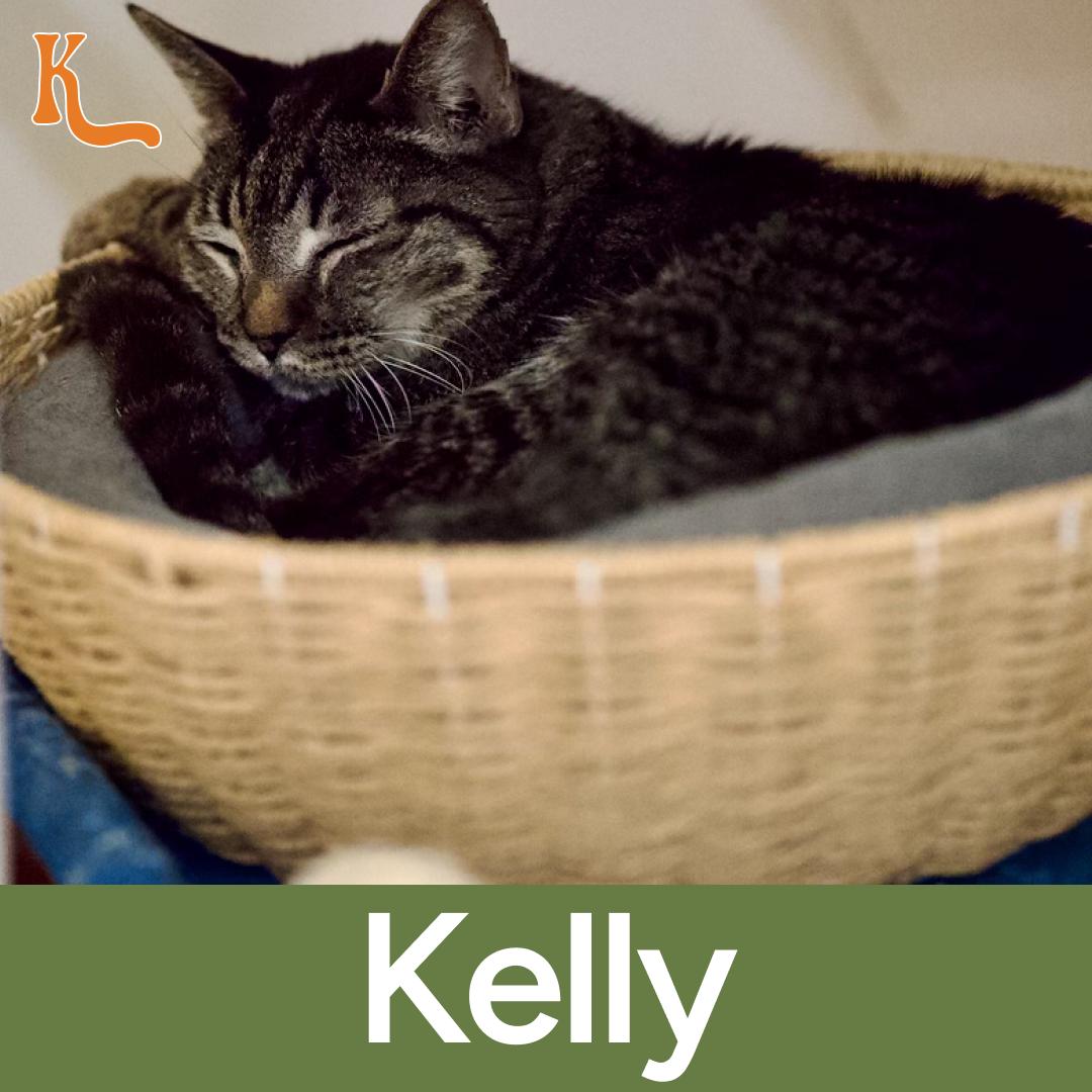 Kelly