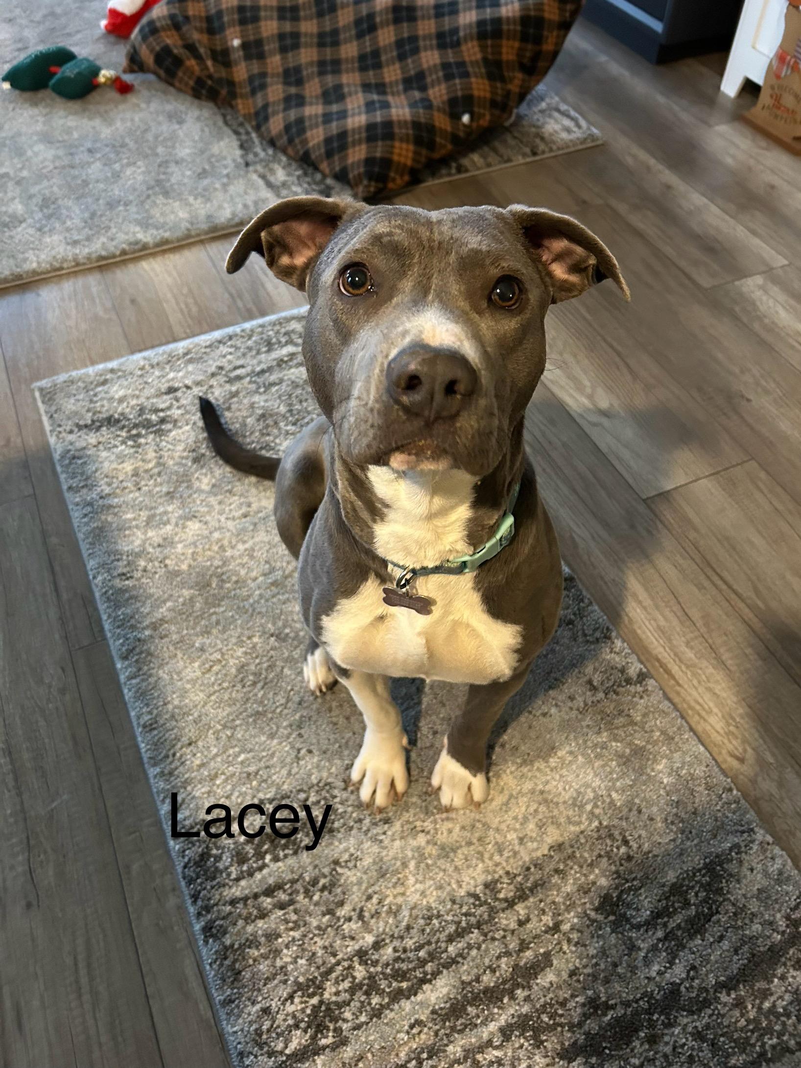 Lacy