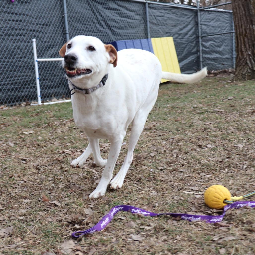 Alfred — thumbnail 2