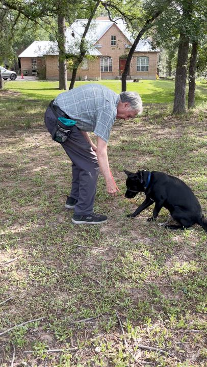 Enlarge Buddy , a Adoptable mixed breed in Cleveland, TX video 1/6