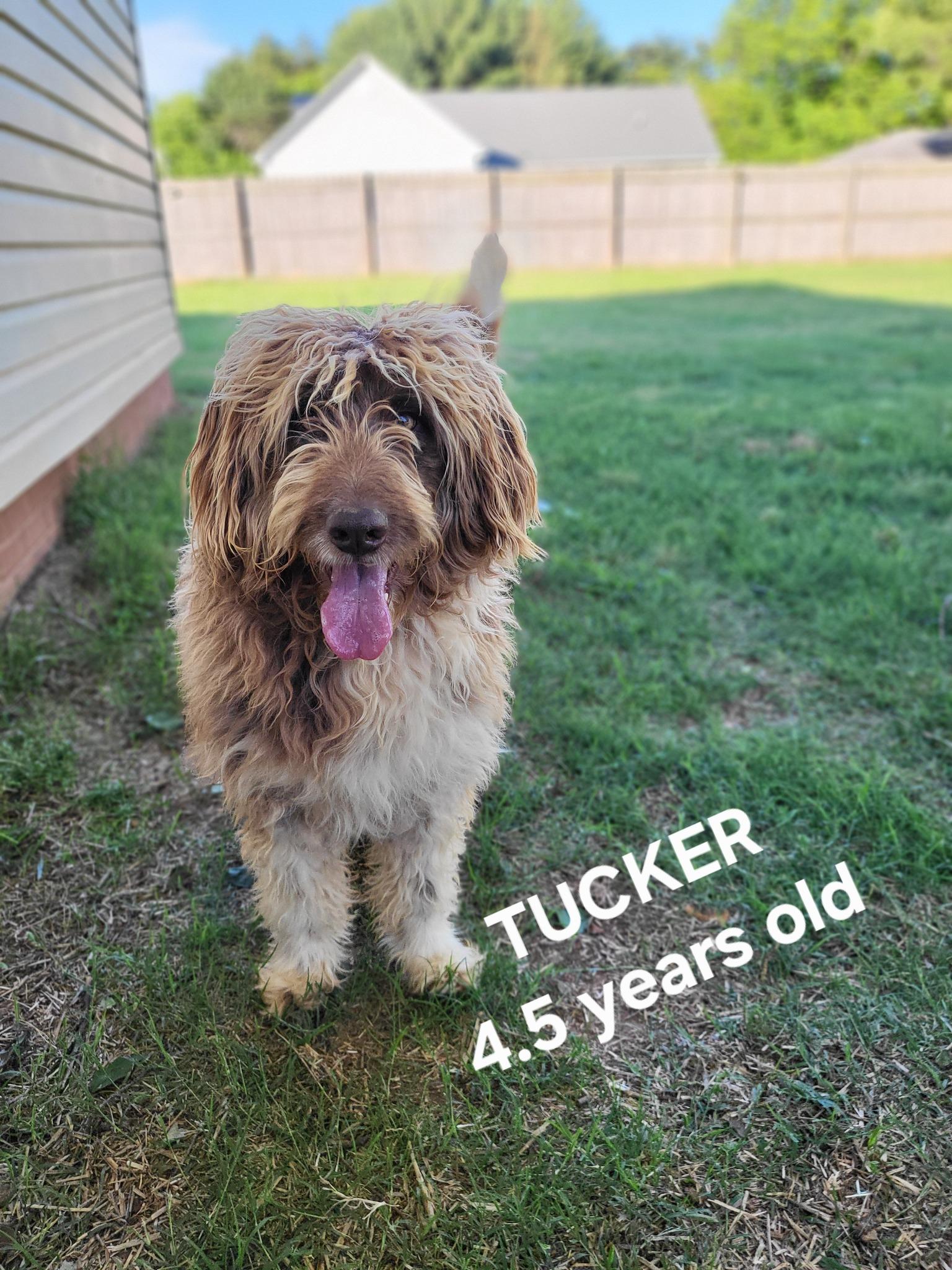 Tucker