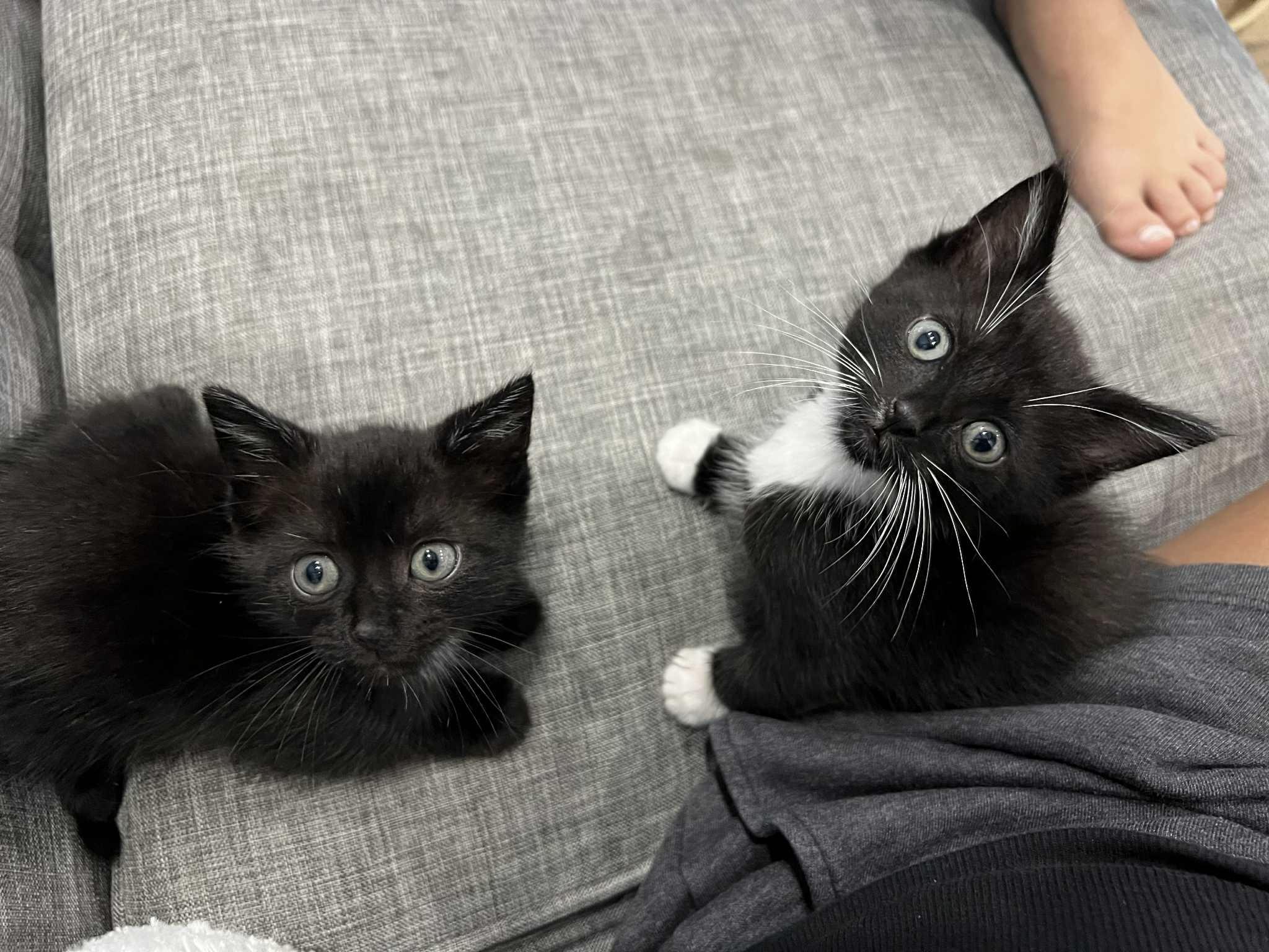 Flop & Flip